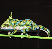 Bodypainting Chamäleons in den Stachus Passage(©Foto: Martin Schmitz)